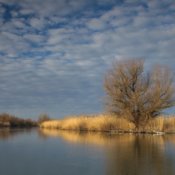 Delta Dunării